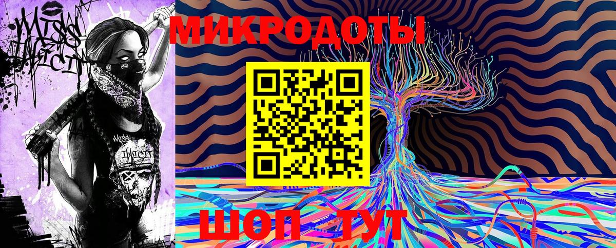 Псилоцибиновые грибы Psilocybine cubensis Тамбов