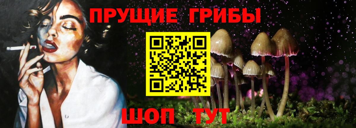 Тамбов  Псилоцибиновые грибы GOLDEN TEACHER  Вход с VPN 